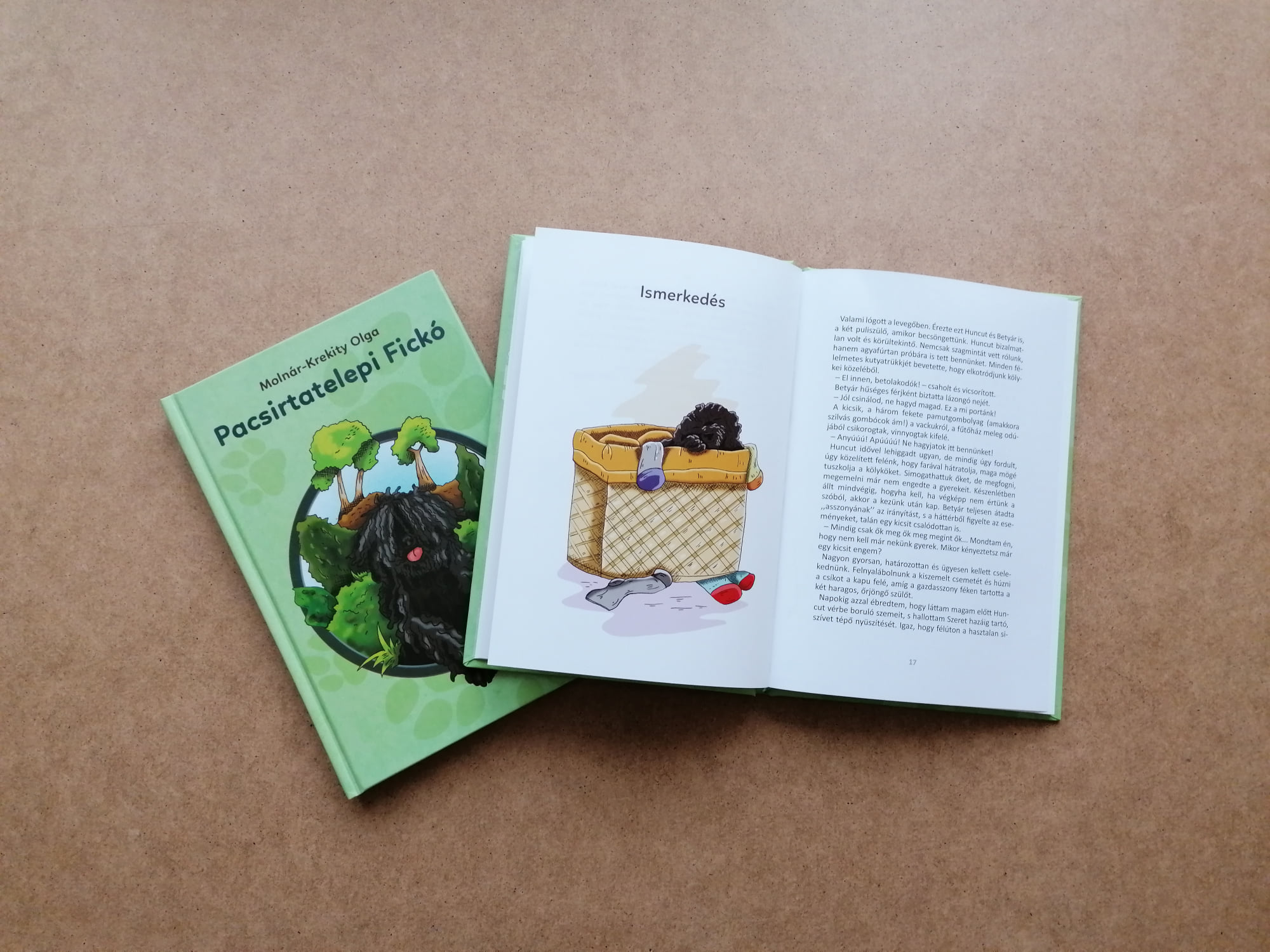 Molnár Krekity Olga könyvbemutatója 2022